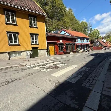Stylish In The Center Of * Oslo